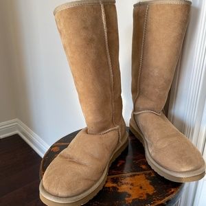 Classic Tall Women’s Ugg Boot in Chestnut